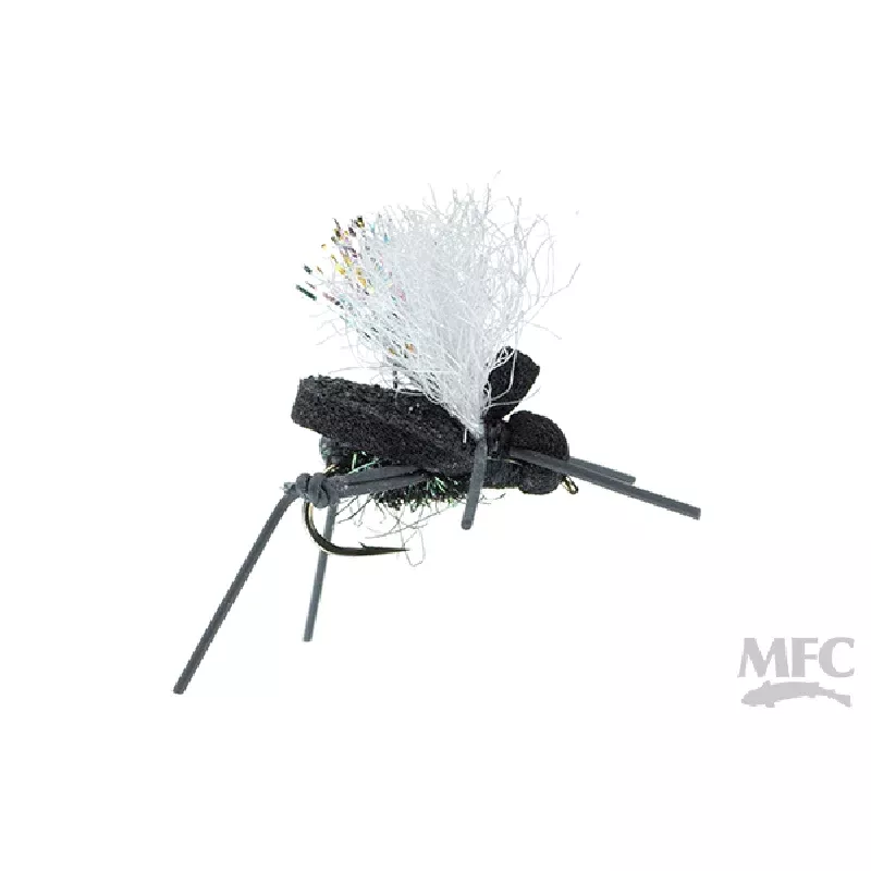 AJ’s Beetle (6-pack)