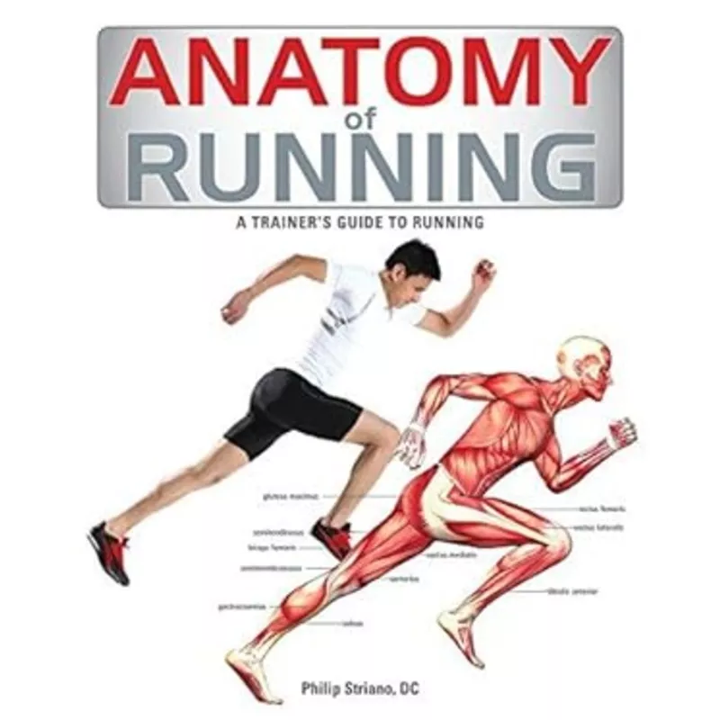 Anatomy of Running