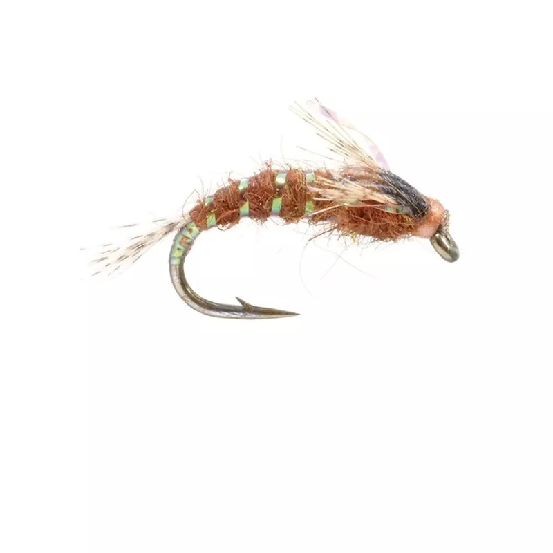 Crystal Hunchback Fly PMD