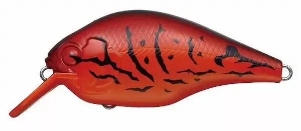 Evergreen Zeruch Petit 64 Fire Claw
