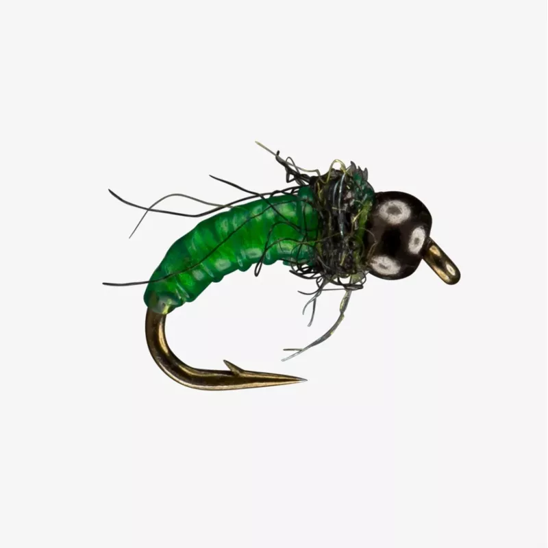 Free Living Larva