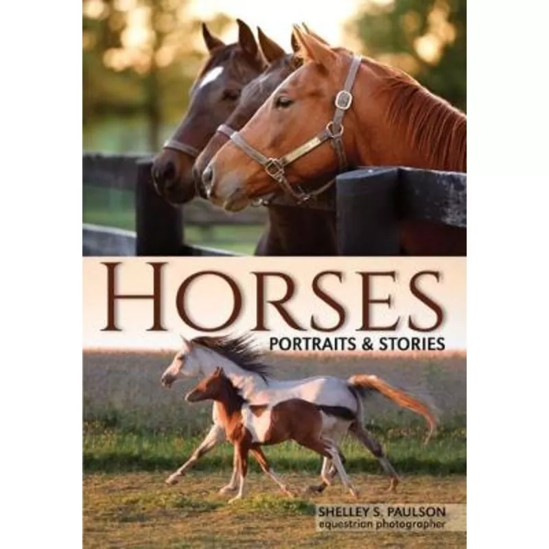 Horses: A Visual Essay