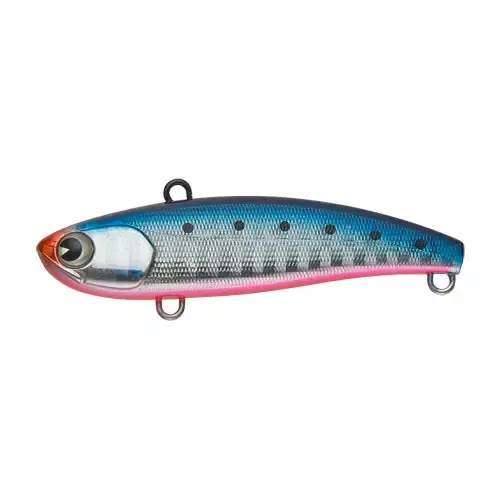 ima Koume 60 Mako Sardine