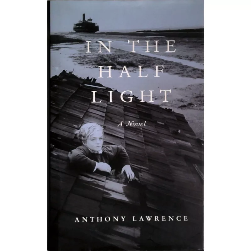 In The Half Light: A Novel