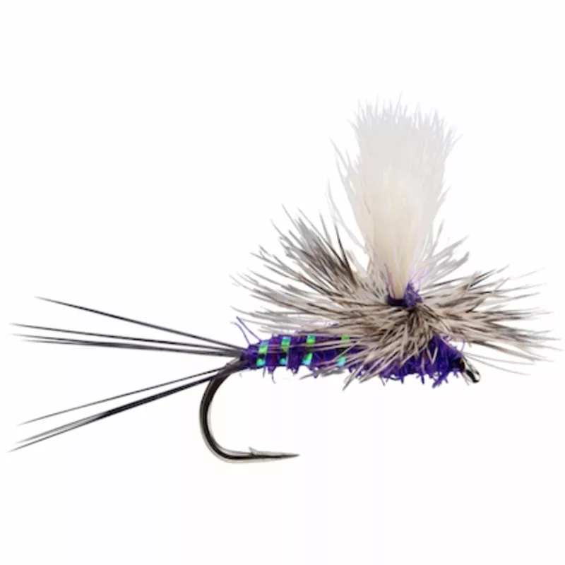 ParaWulff Purple