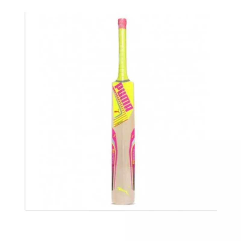 Puma Evospeed Tricks 1y Kashmir Willow Cricket Bat