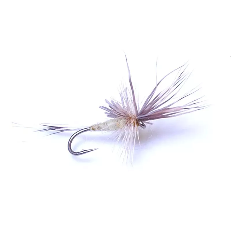 Quigley's Spider Variant Cripple PMD