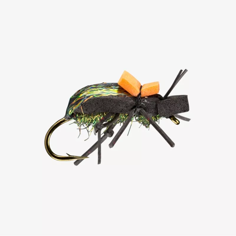 RIO's Ground Beetle