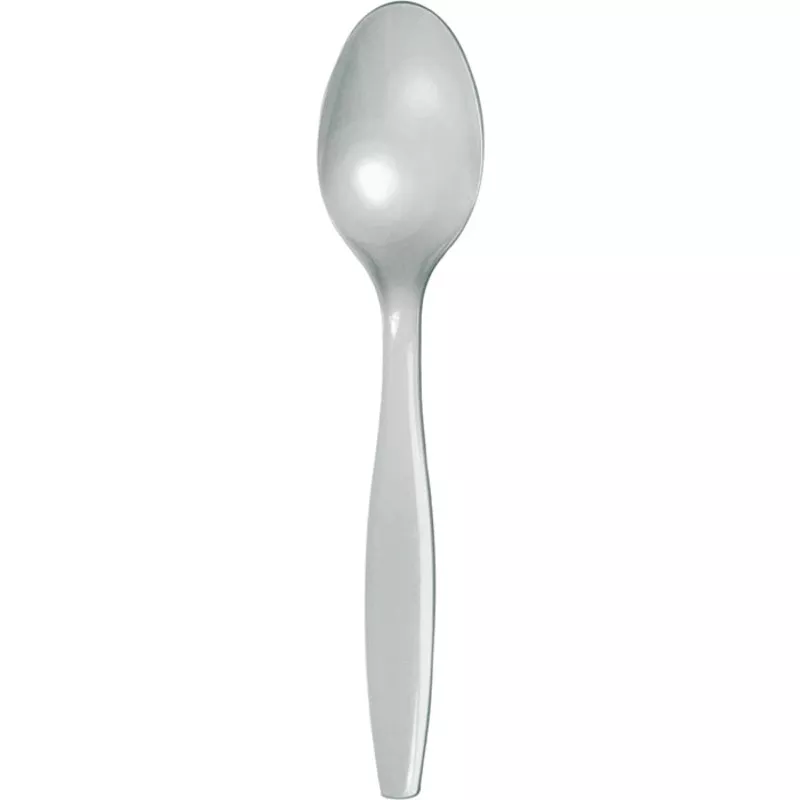 Shimmering Silver Plastic Spoons (288 per Case)