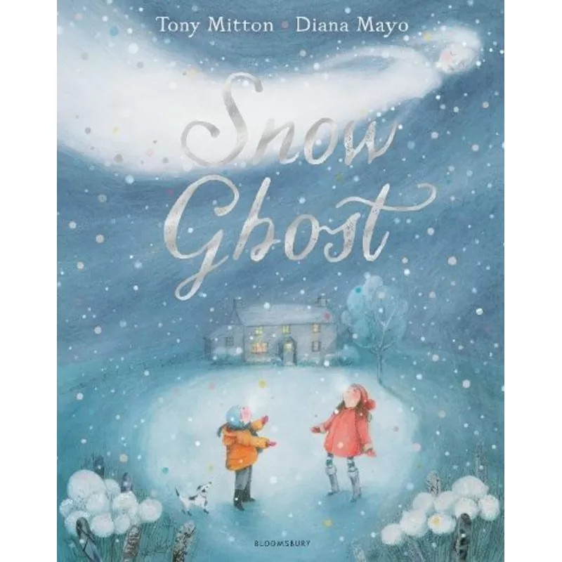 Snow Ghost: The Most Heartwarming Picture Book of the Year