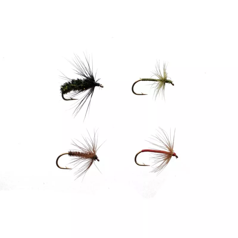 Wet / Soft Hackle Assortment JC18144507
